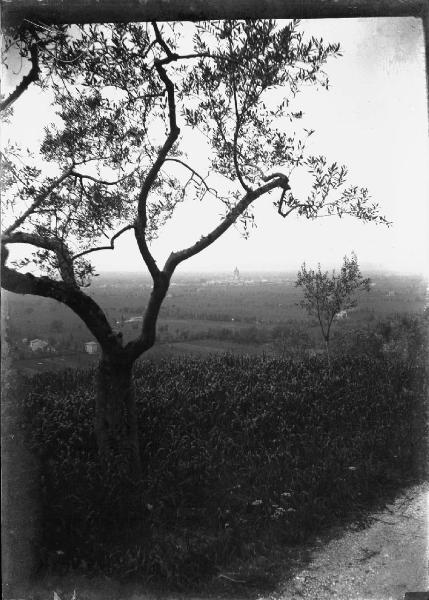 Paesaggio. Assisi - Panorama dalla strada per il convento di S. Damiano