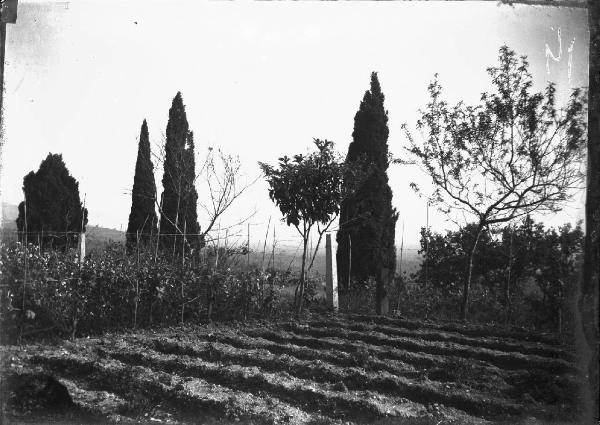 Paesaggio. Assisi - Convento di S. Damiano - Orto del cantico