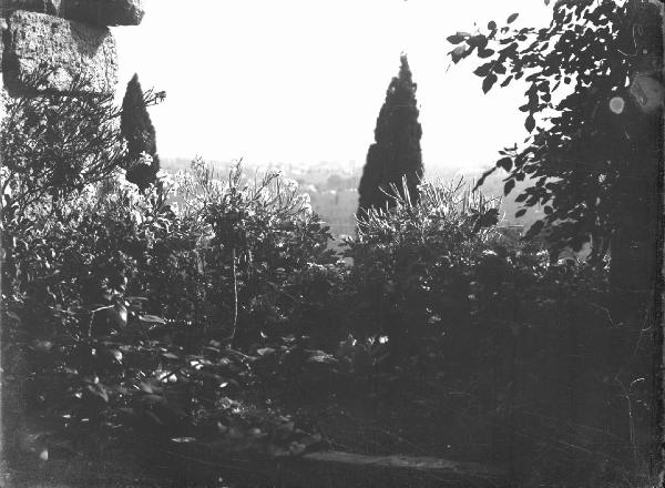 Paesaggio. Assisi - Convento di S. Damiano - Loggetta fiorita