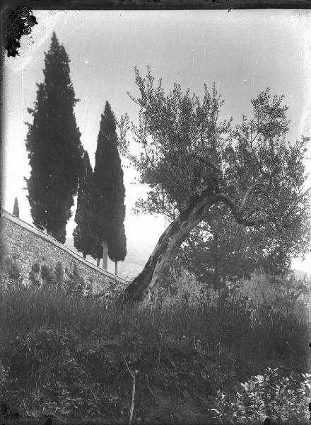 Paesaggio. Assisi - Convento di S. Damiano - Mura