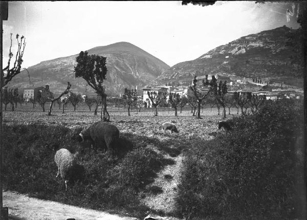 Paesaggio. Gubbio - Vetturina