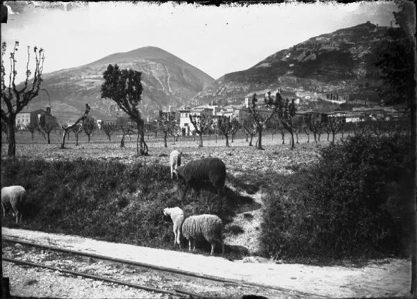 Paesaggio. Gubbio - Vetturina