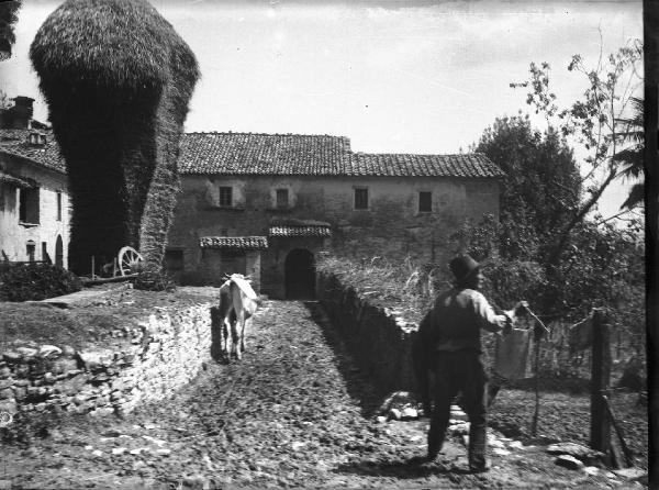 Paesaggio. Sansepolcro - Orto con pascolo