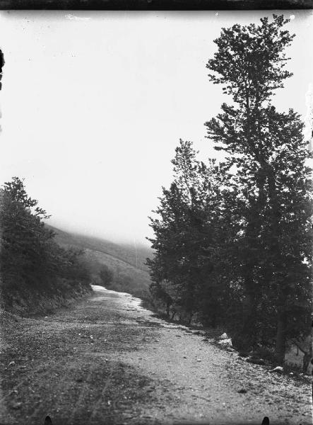 Paesaggio. Assisi - Selva delle Carceri