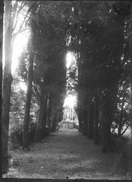 Paesaggio. Faggeto Lario - Alpe di Lemna - Bosco