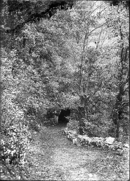 Paesaggio. Assisi - Selva delle Carceri - Grotta di frate Rufino