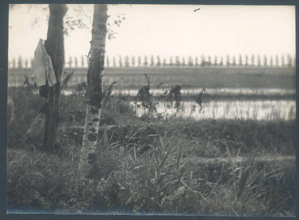 Paesaggio. Ravenna - Bonifica della valle del Lamone