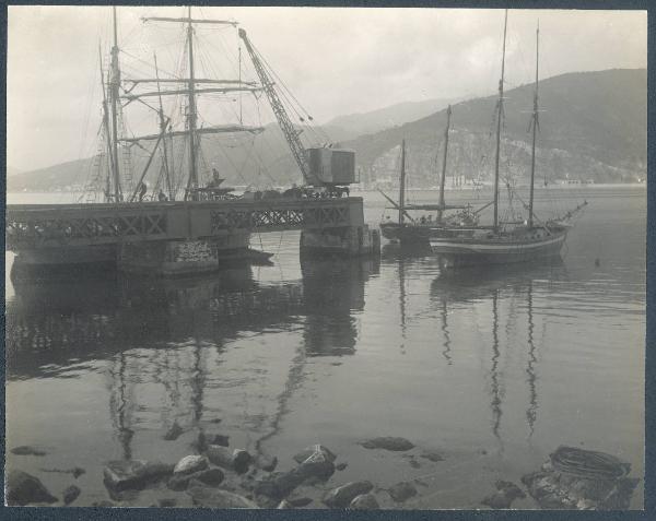 Paesaggio. Sestri Levante - Baia delle Favole - Barche a vela