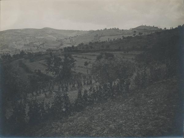 Paesaggio. Bertinoro - Bracciano - campagna