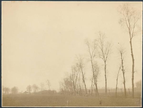 Paesaggio. Lombardia - Campagna milanese - Alberi e case rurali