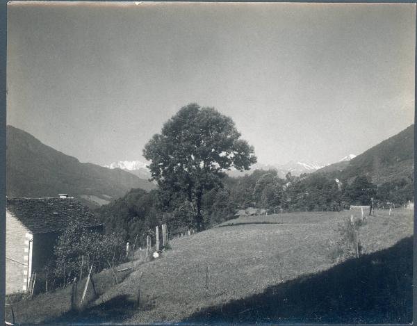Paesaggio. Valle Vigezzo - Santa Maria Maggiore - Buttogno - Panorama verso la Weissmies