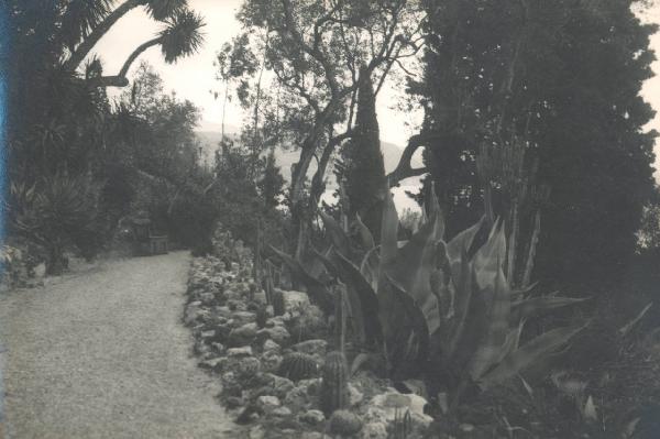 Paesaggio. Ventimiglia - La Mortola - Giardini botanici Hanbury