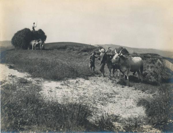 Paesaggio. Riolo Terme - Contadini durante la fienagione