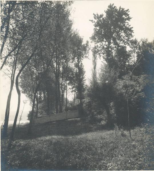 Paesaggio. Castelletto Sopra Ticino - Veduta di un bosco sul fiume Ticino