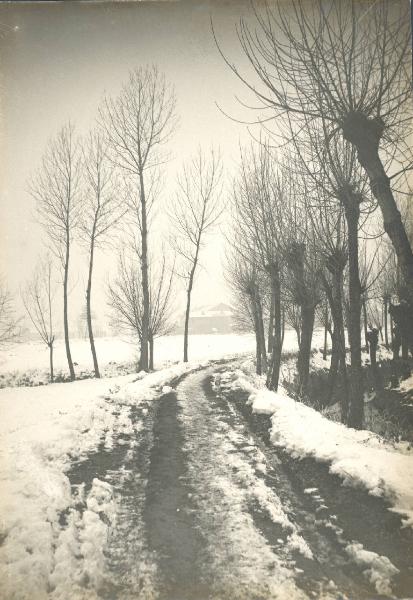 Paesaggio. Mortara - Sentiero innevato