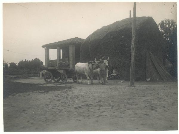 Paesaggio. Valle del Lamone - lavori di bonifica