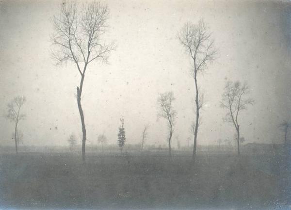 Paesaggio. Lombardia - Campagna milanese - Alberi