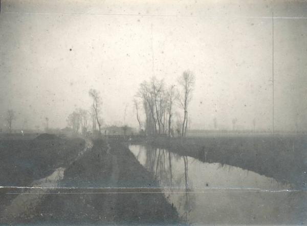 Paesaggio. Lombardia - Campagna milanese - Alberi