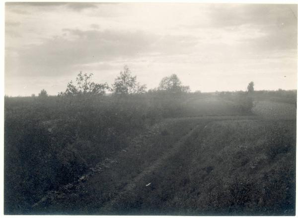 Paesaggio. Ravenna - Veduta della campagna