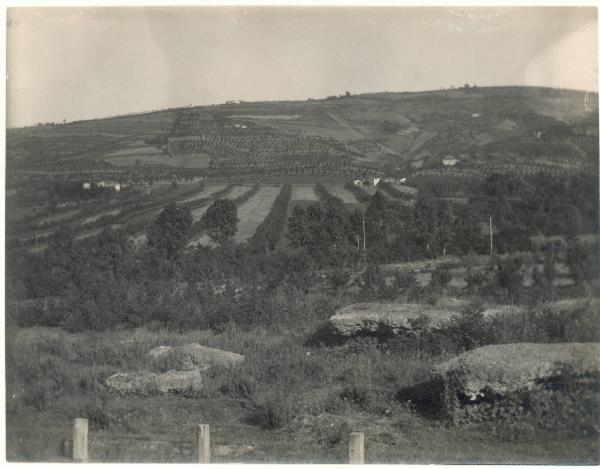 Paesaggio. Cuffiano - Panorama