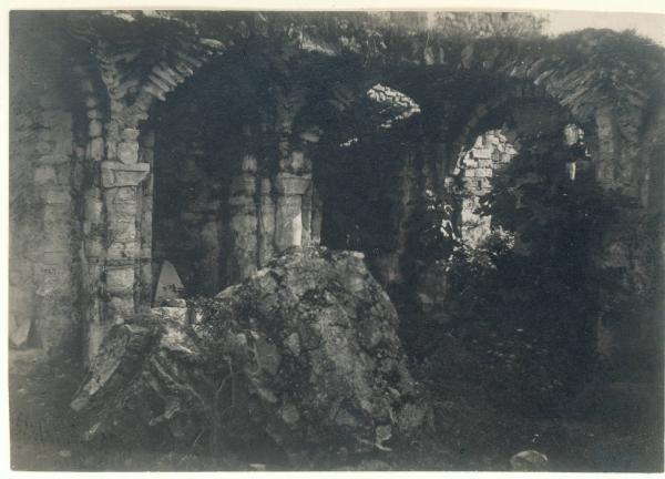 Paesaggio. Lago di Como - Ossuccio - Isola Comacina - Ruderi della Basilica di S.Eufemia