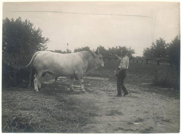 Paesaggio. Valle del Lamone - lavori di bonifica