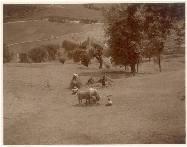 Paesaggio. Val Camonica - Veduta di un pascolo