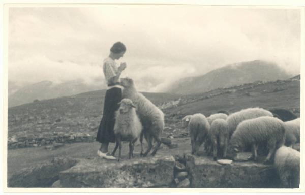 Paesaggio. Madesimo - Linda Sommariva con pecore al pascolo