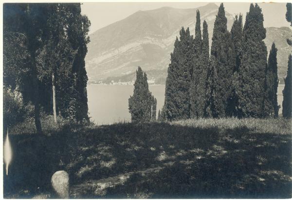 Paesaggio. Lago di Como - Bellagio - Loppia