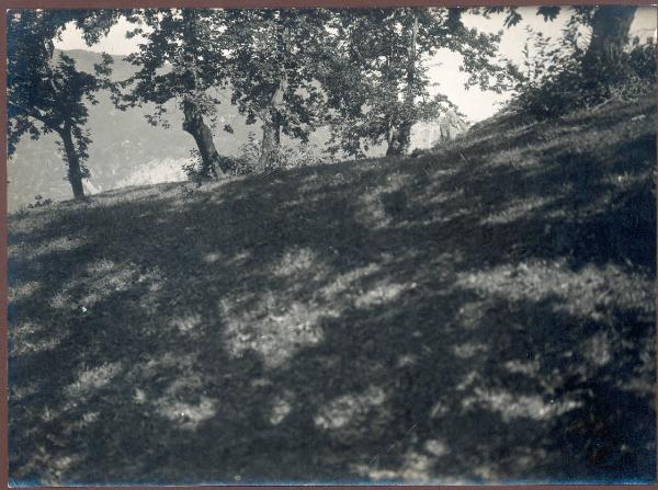 Paesaggio. Torno - Piazzaga - Bosco