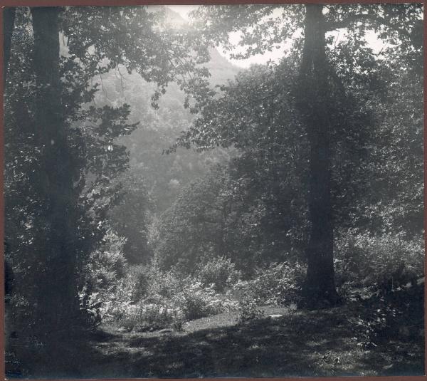 Paesaggio. Torno - Piazzaga - Bosco