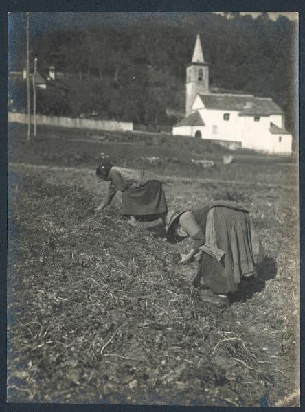 Paesaggio. Valle Vigezzo - Santa Maria Maggiore - Buttogno - Raccolta delle patate - Oratorio di S. Lorenzo