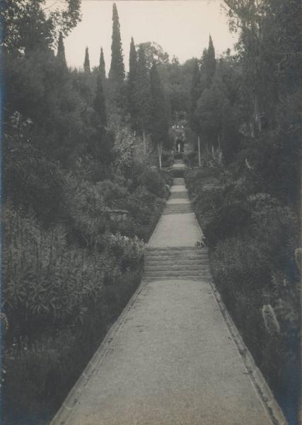 Paesaggio. Ventimiglia - La Mortola - Giardini botanici Hanbury