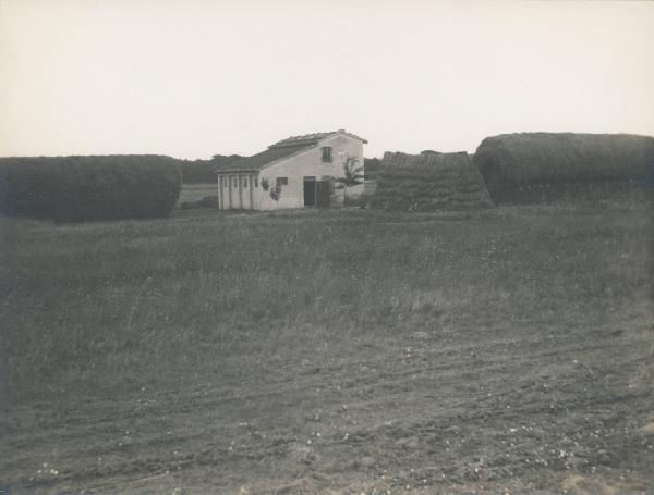 Paesaggio. Ravenna - Bonifica della valle del Lamone