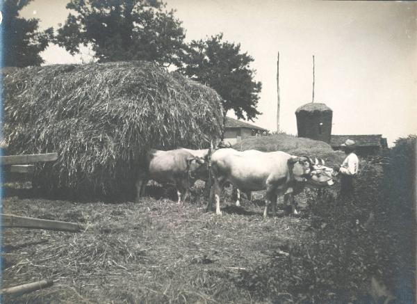 Paesaggio. San Pietro in Vincoli - Azienda agricola Trionfi Cesare