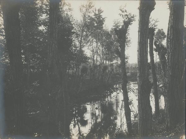 Paesaggio. Fiume Lambro