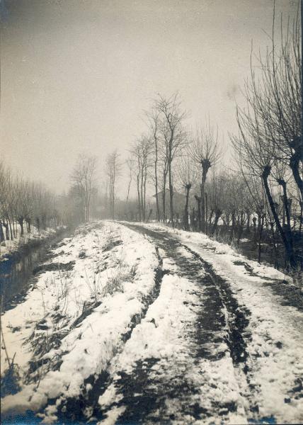 Paesaggio. Mortara - Sentiero innevato