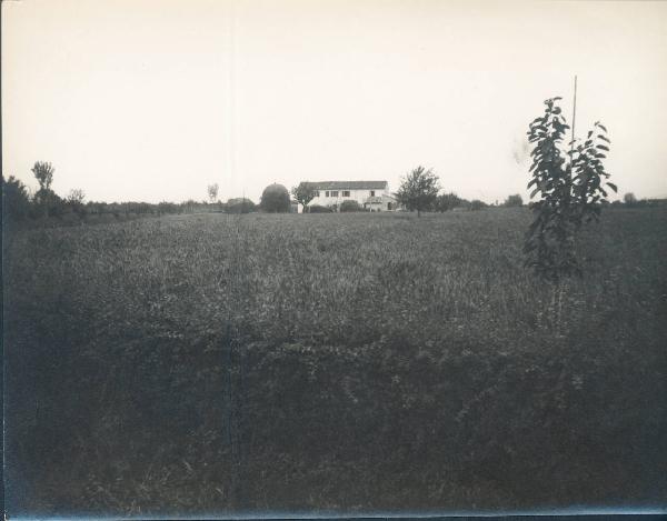 Paesaggio. Forlì - Roncadello - Campo con casolare