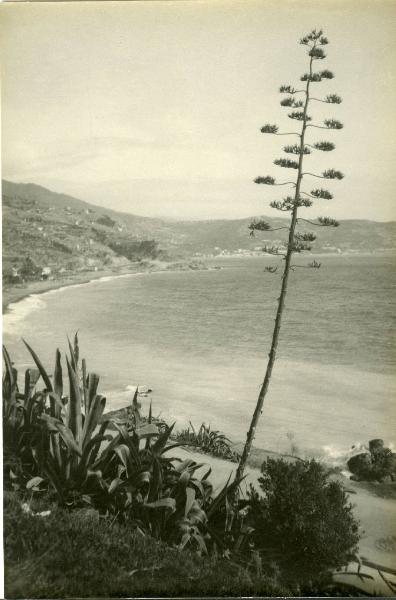 Paesaggio. Bordighera - Panorama marino