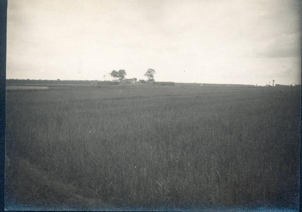 Paesaggio. Ravenna - Veduta di un campo con casolare