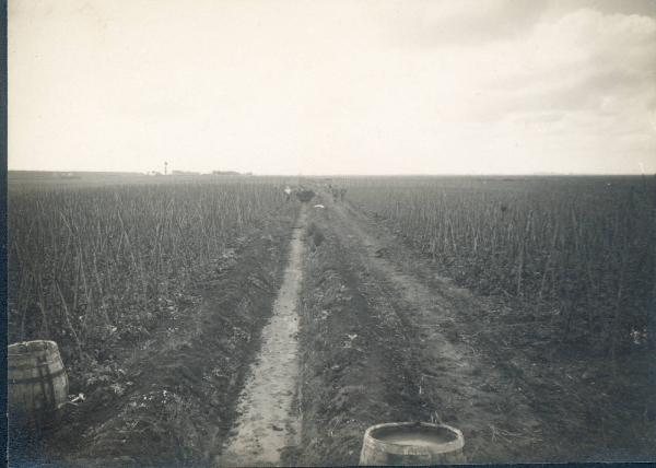 Paesaggio. Ravenna - Veduta di un campo coltivato