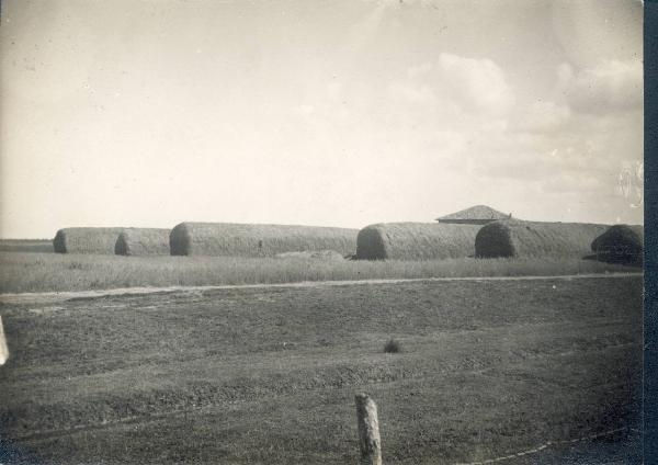 Paesaggio. Ravenna - Bonifica della valle del Lamone