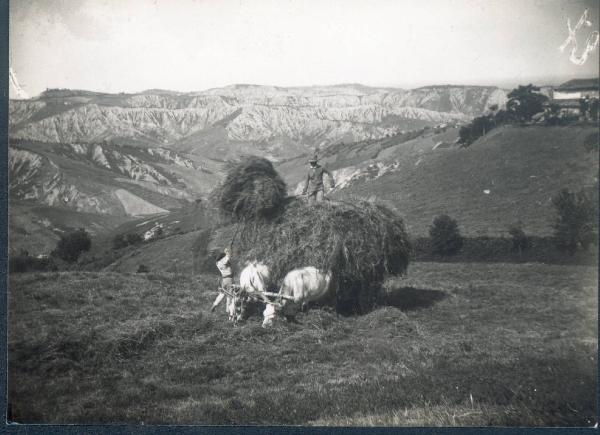 Paesaggio. Brisighella - Raccolta del fieno