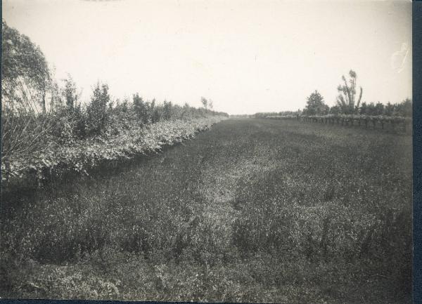 Paesaggio. Gambellara - Campo agricolo della tenuta dei conti Pasolini