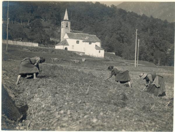 Paesaggio. Valle Vigezzo - Santa Maria Maggiore - Buttogno - Raccolta delle patate - Oratorio di S. Lorenzo