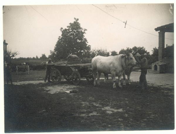 Paesaggio. Valle del Lamone - lavori di bonifica