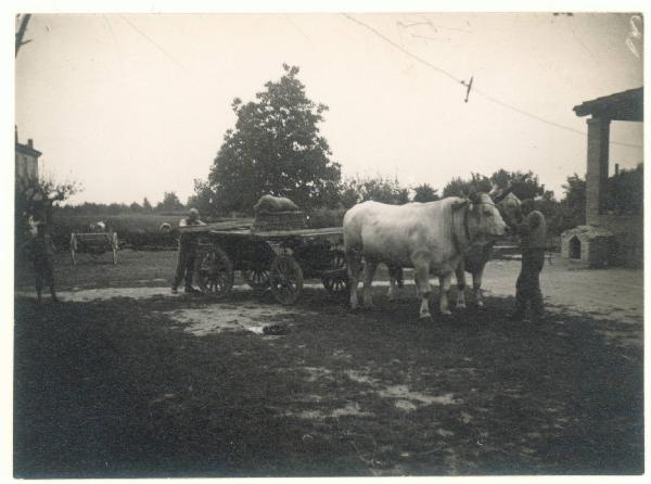 Paesaggio. Valle del Lamone - lavori di bonifica