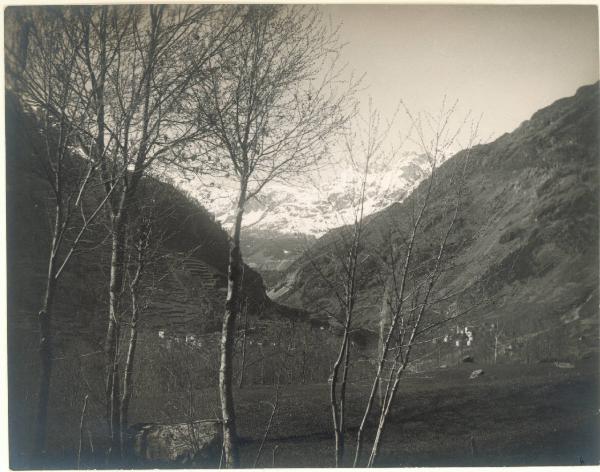 Paesaggio. Valmalenco - Panorama montano