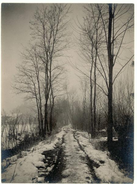 Paesaggio. Mortara - Sentiero innevato