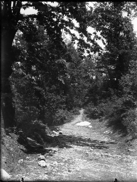 Paesaggio. Umbria - Torrente in secca - Foresta